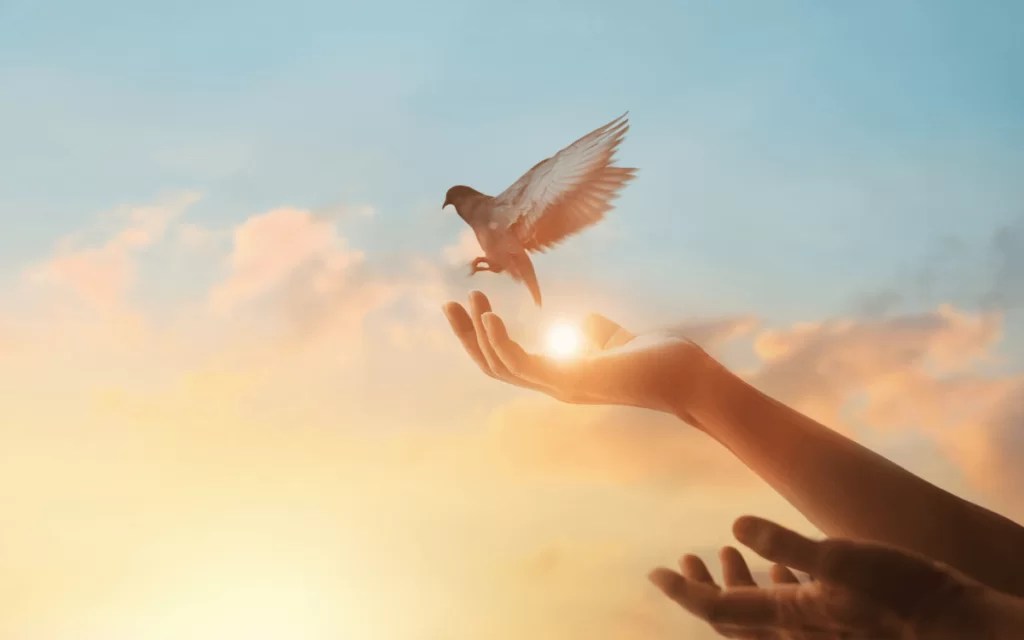 You ask, You get&nbsp;it!